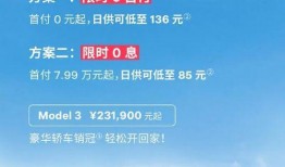 特斯拉销售爆料案例视频