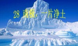 南极最新爆料视频网红,网红带你揭秘神秘极地世界