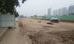 衡水马路爆料事件最新,真相与争议交织的街头风云