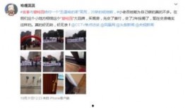 碧桂园爆料小夜曲视频,揭秘项目背后的故事与真相