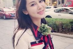 明星娱乐圈最新爆料杨紫,娱乐圈再掀波澜！