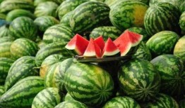 陇南康县网红吃瓜事件,一场网络狂欢背后的真相与反思